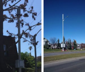 more small phone masts