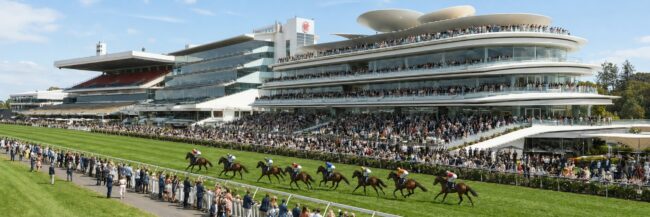 Horse race on a green turf track with colorful jockeys, racing past a packed grandstand under a bright blue sky.